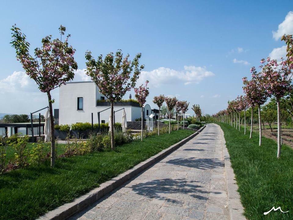 Masseria Guida 埃尔科拉诺 外观 照片